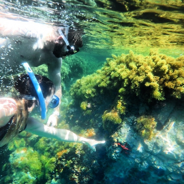 Snorkel en la Costa Brava